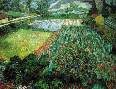 Campo di papaveri da Vincent van Gogh